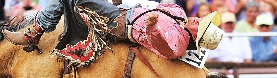 bronc rider - cowboy up
