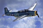 WWII warbird -flyin' hard-n-high
