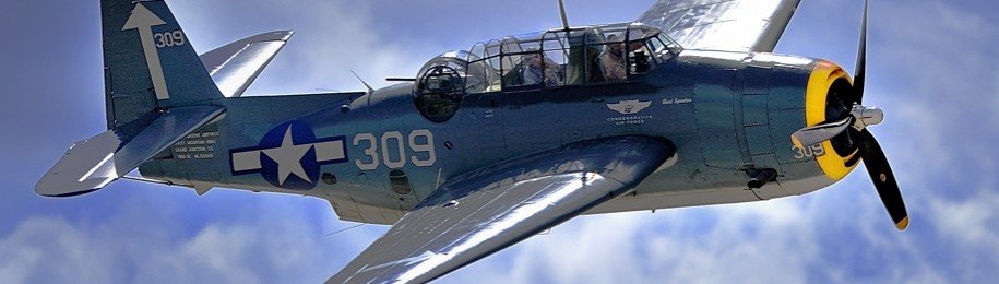 WWII warbird -flyin' hard-n-high