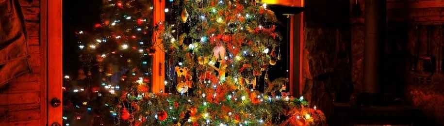 christmas tree - cozy home
