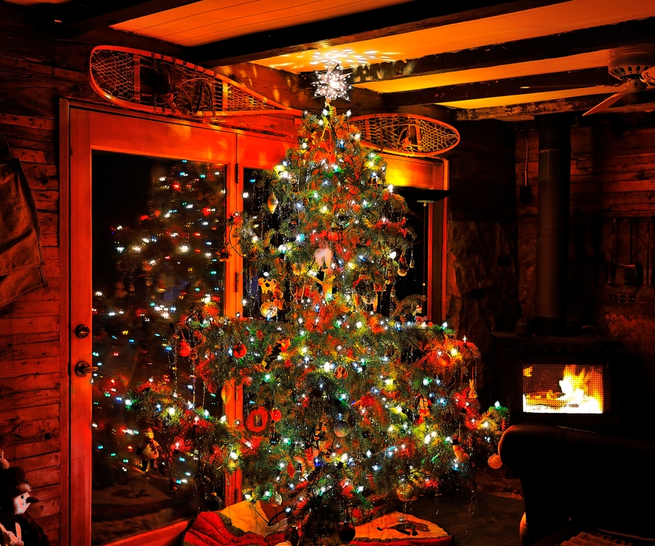 christmas tree cozy home