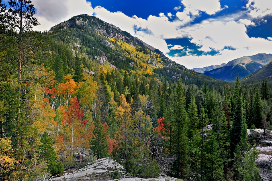Rocky Mountain Fall Colors Hidden Valley Aspen Colorado_DAM9192_003WP_MADOGRAPHY | Original Image Capture_MADOGRAPHER Doug Mayhew